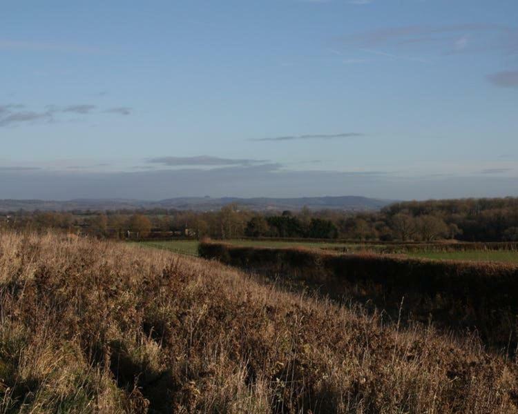 Cherry Orchard Farm South Wraxall Eksteriør billede
